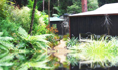 Waste Processing